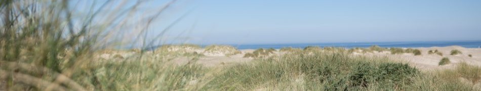 Billeder til hjemmeside (1 of 5)