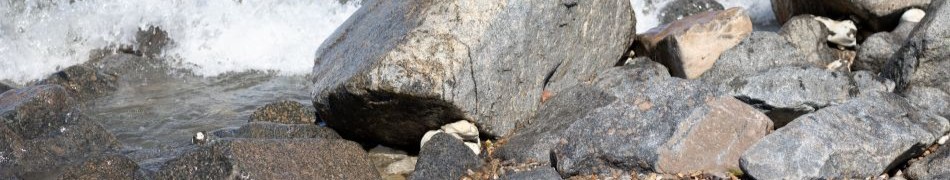 Billeder til hjemmeside (2 of 5)